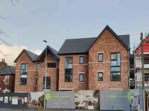 Monton Rises!